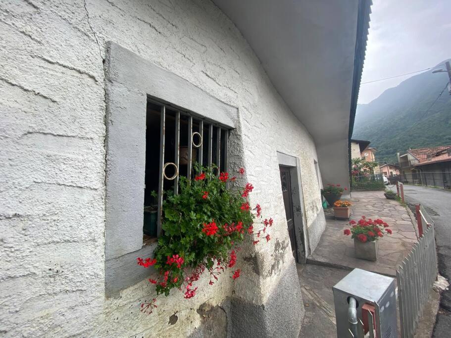 Casa Vacanze Il Pettirosso. Pisogne Exterior foto