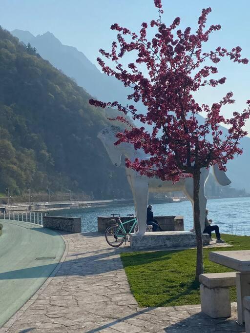 Casa Vacanze Il Pettirosso. Pisogne Exterior foto